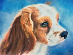 Hund in Pastelmalerei