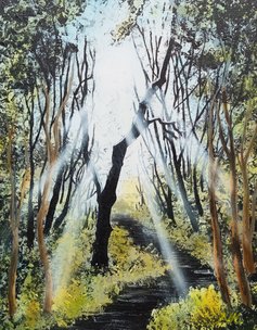 Golden Rays of Sunlight 28/4